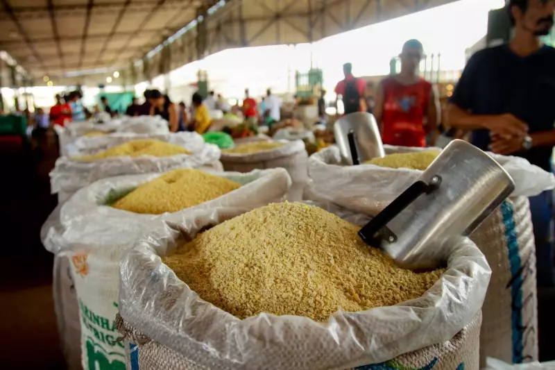 Setor de alimentos lidera geração de empregos na indústria com 2 milhões de vagas