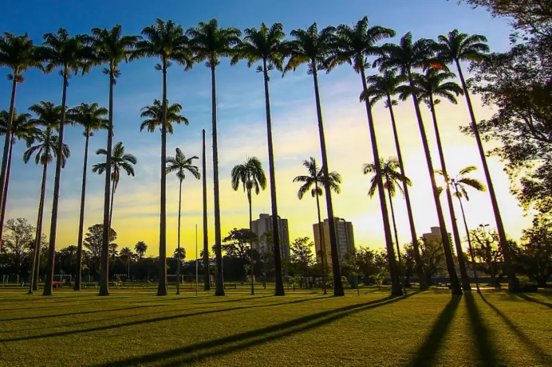 Sol e calor: previsão para o fim de semana no Vale do Paraíba e região