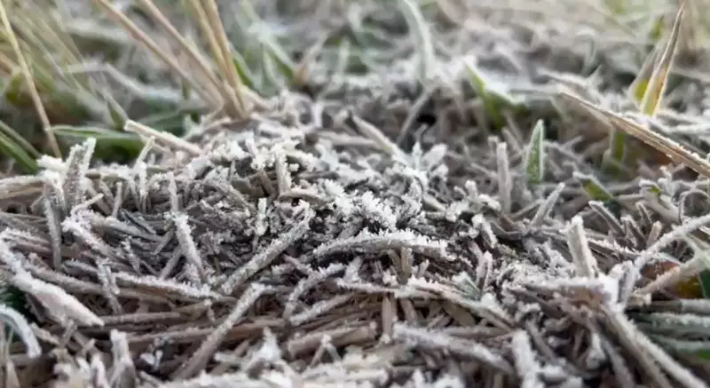 Sorocaba e Jundiaí registram temperaturas mais baixas da história; veja os números