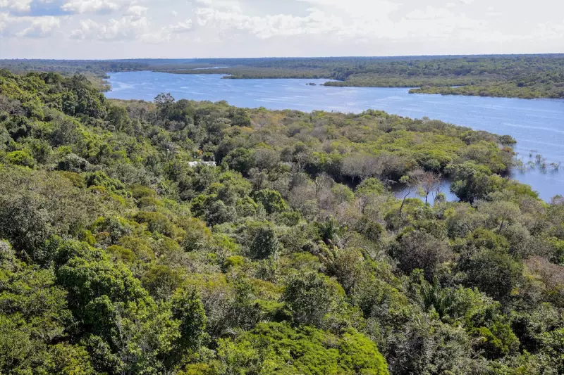 Starlink e MPF fecham acordo para combater garimpo ilegal na Amazônia via internet