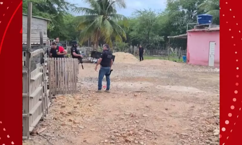 Suspeito de tráfico de animais é preso na Bahia: entenda o caso