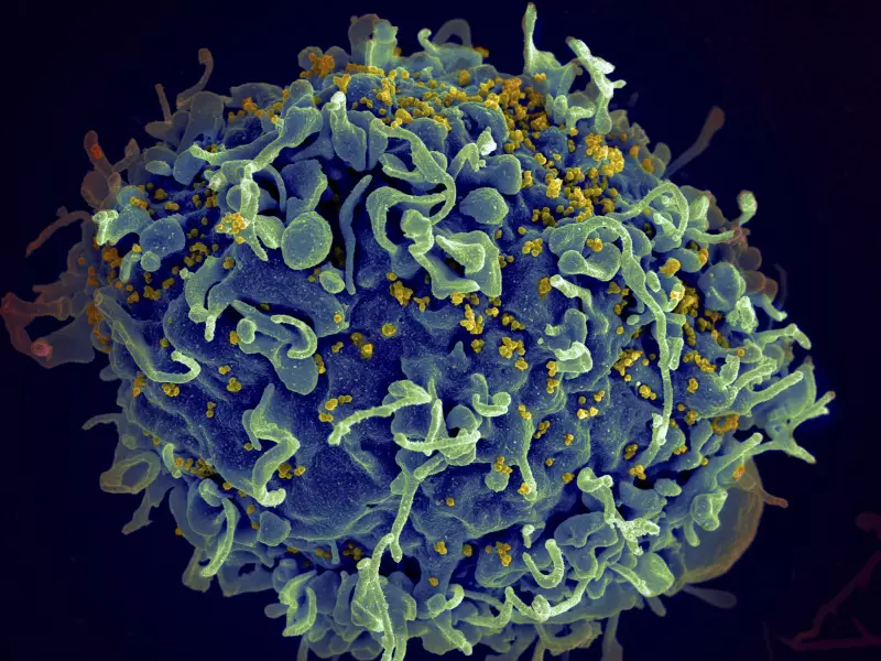 Tecnologia das vacinas de mRNA pode revelar HIV escondido e ser chave para a cura, diz estudo