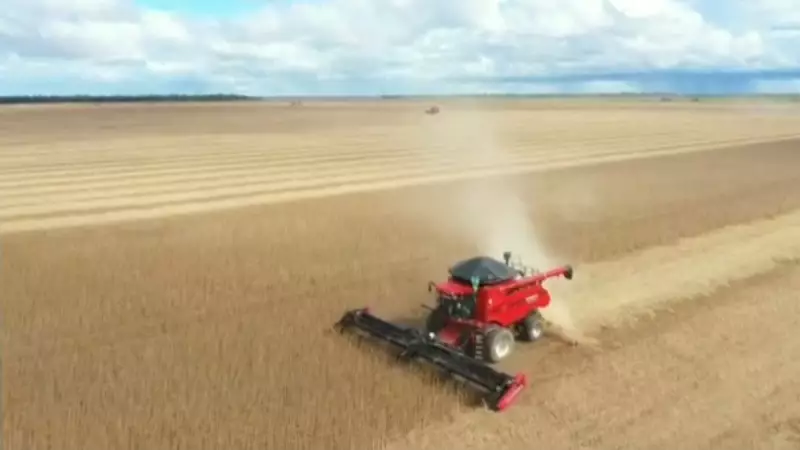 Tecnologia revoluciona o campo: como produtores rurais enfrentam mudanças climáticas no Brasil