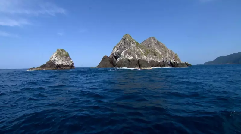 Temperatura do mar bate recorde e desloca 1,4 milhão no Pacífico, alerta OMM