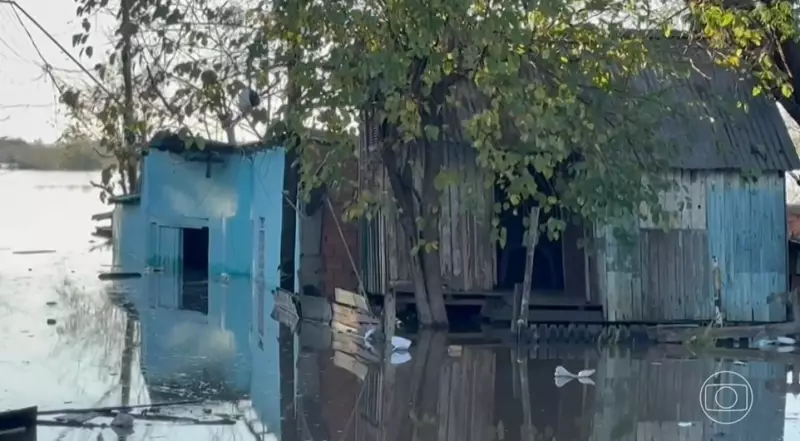 Tempestades no Rio Grande do Sul deixam 9 mil desabrigados: saiba como ajudar