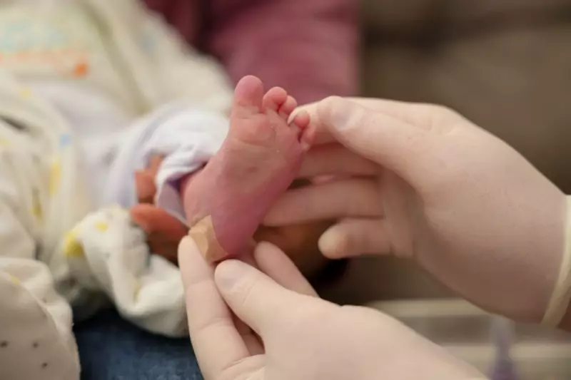 Teste do Pezinho em SC: 97% de sucesso e a importância do exame para a saúde dos bebês