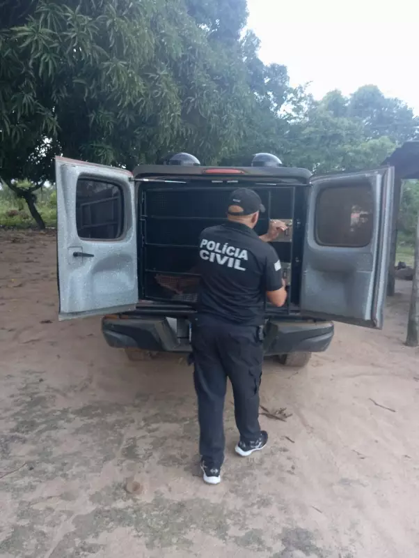 Tio é preso por estuprar sobrinha adolescente por dois anos no interior de Roraima
