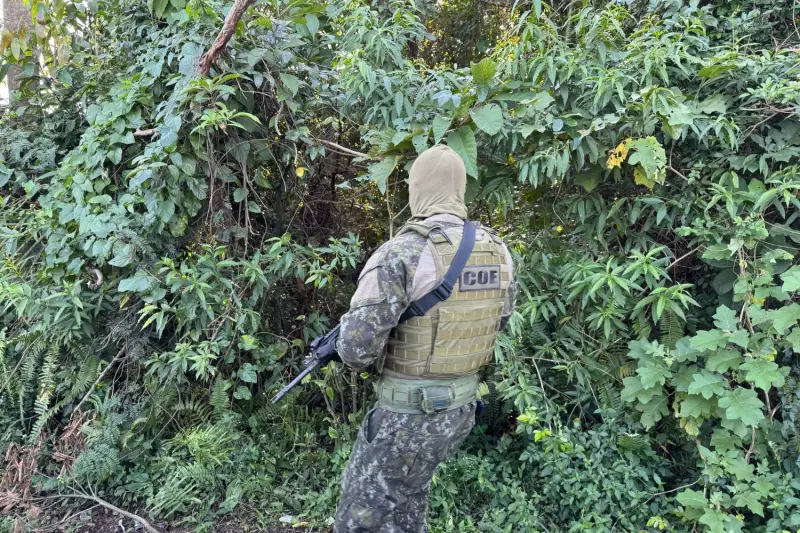 Tiroteio na Rodovia dos Imigrantes termina com suspeitos mortos pela PM em SP