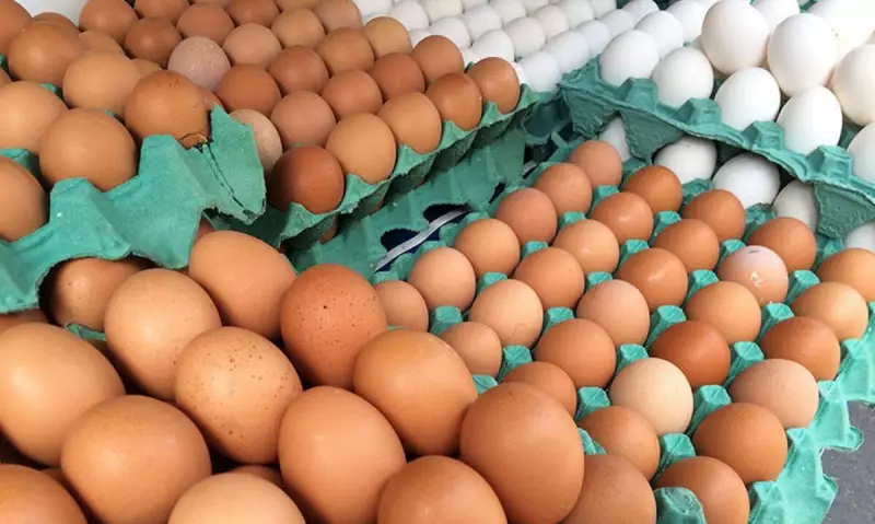 Tomate, ovo e roupas de frio lideram alta da inflação no Brasil em 2025