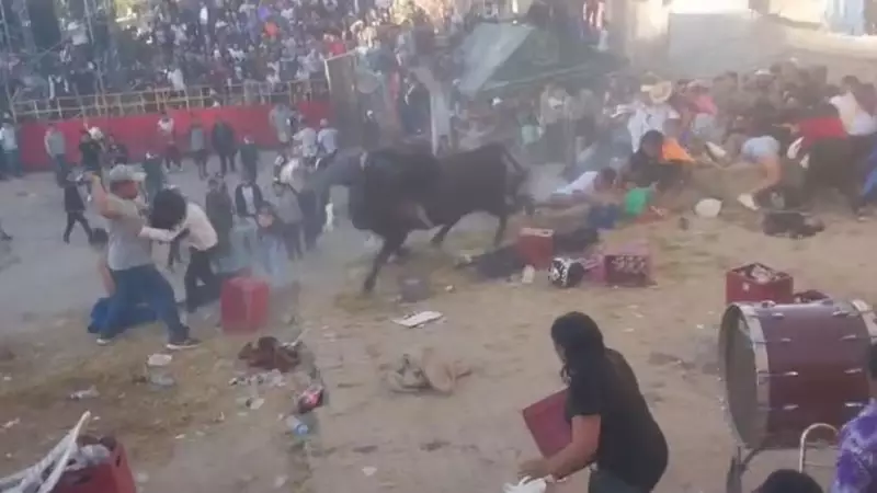 Touro foge de rodeio e causa caos no Peru: mais de 30 feridos em cena dramática