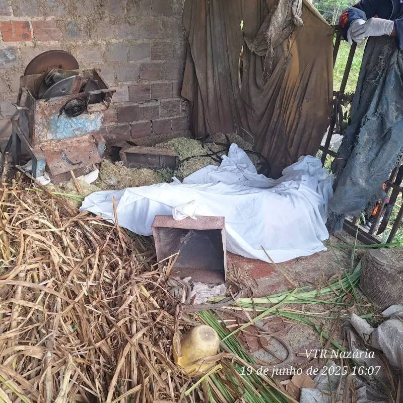 Trabalhador rural morre após ser atingido por peça de triturador no Piauí: tragédia no campo