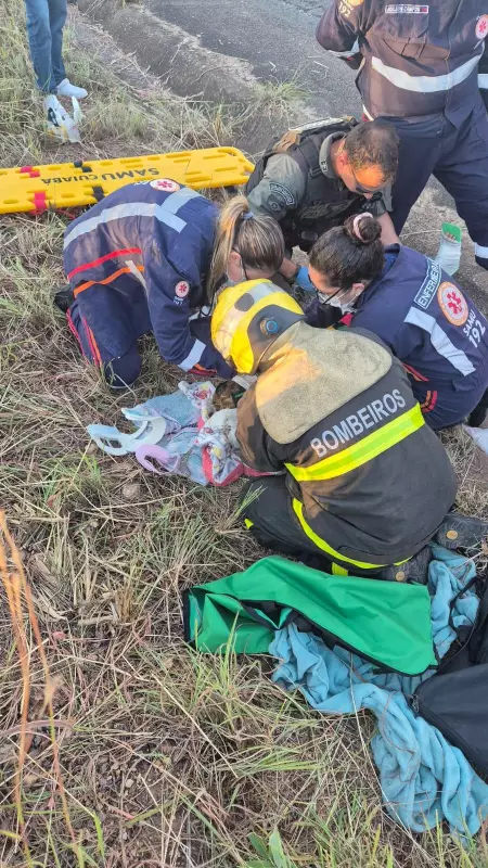 Tragédia em MT: Casal morre e duas crianças ficam feridas em colisão entre carro e caminhão
