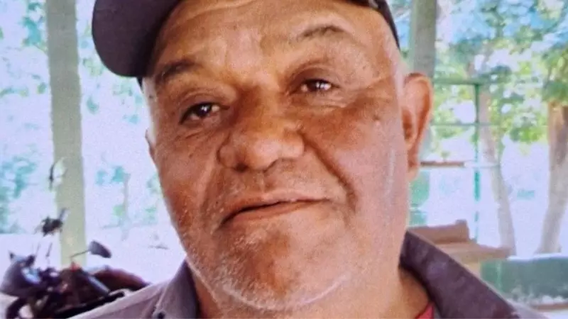 Tragédia em Taquaritinga: Servidor público de 70 anos morre após ataque de enxame de abelhas