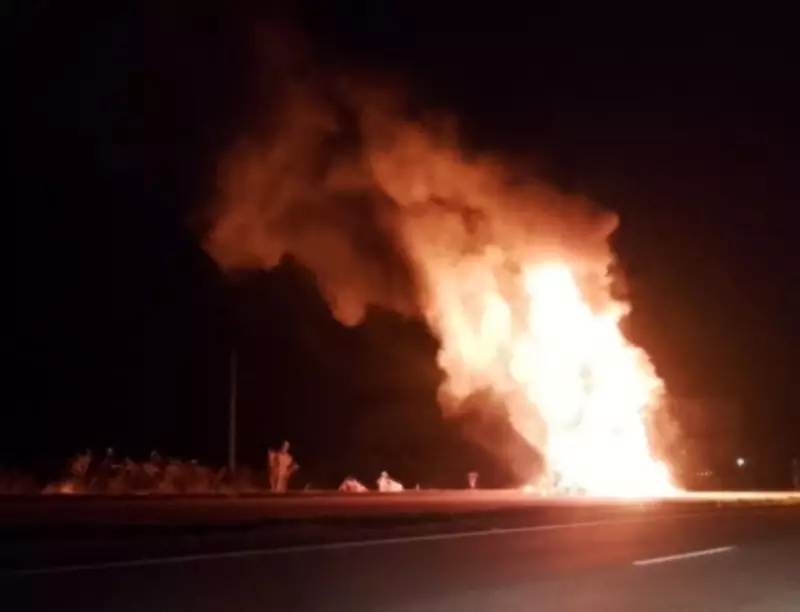 Tragédia na BR-040: Caminhão com mais de 50 bois pega fogo e animais morrem carbonizados