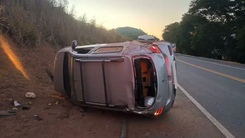 Tragédia na BR-116: Cachorro morre após ser atropelado e carro capota na Zona da Mata