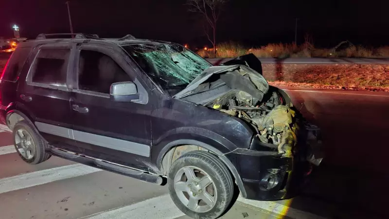 Tragédia na BR-262: Homem morre atropelado próximo a Torneiros, em Pará de Minas