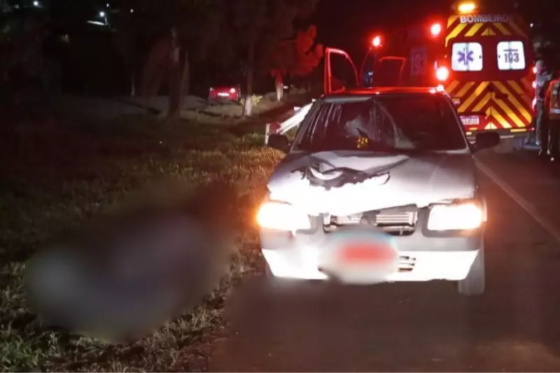 Tragédia na BR-282: Homem de 40 anos morre em atropelamento em SC
