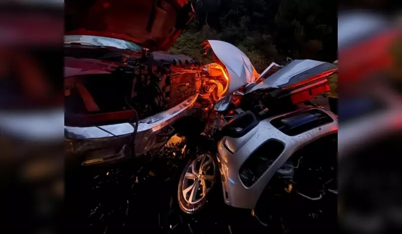 Tragédia na BR-282: Motorista morre e crianças ficam feridas em acidente na Grande Florianópolis