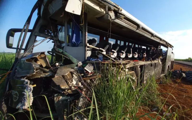 Tragédia na estrada: caminhão perde controle e colide com ônibus de universitários, matando 12