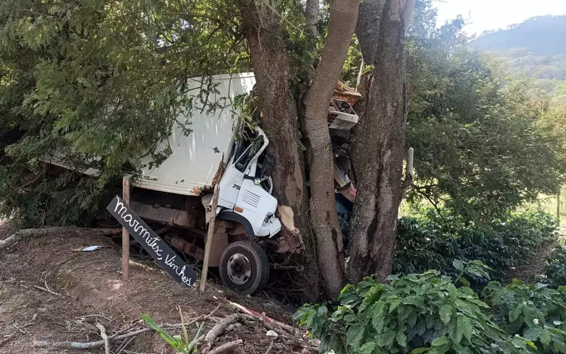Tragédia na Rodovia Waldemar Miguel: Caminhão sai da pista e motorista morre ao bater em árvore em Serrania (MG)