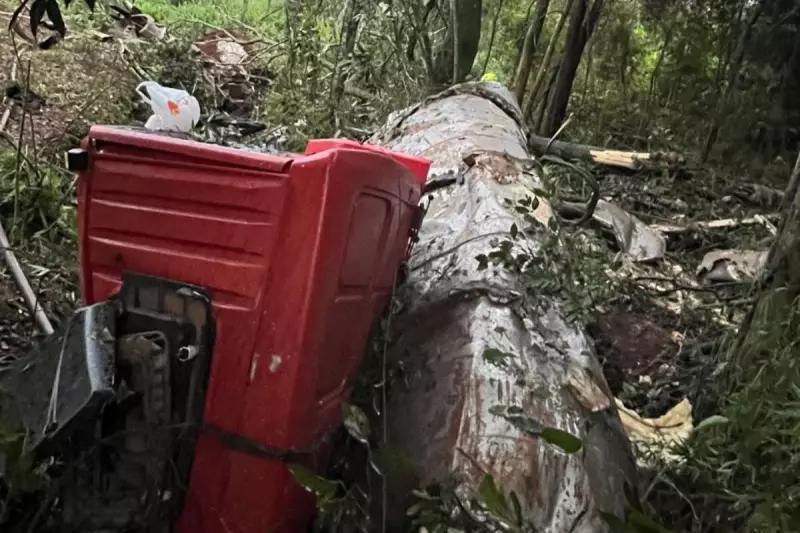 Tragédia na SC-155: Caminhão sai da pista e deixa motorista morto em acidente chocante