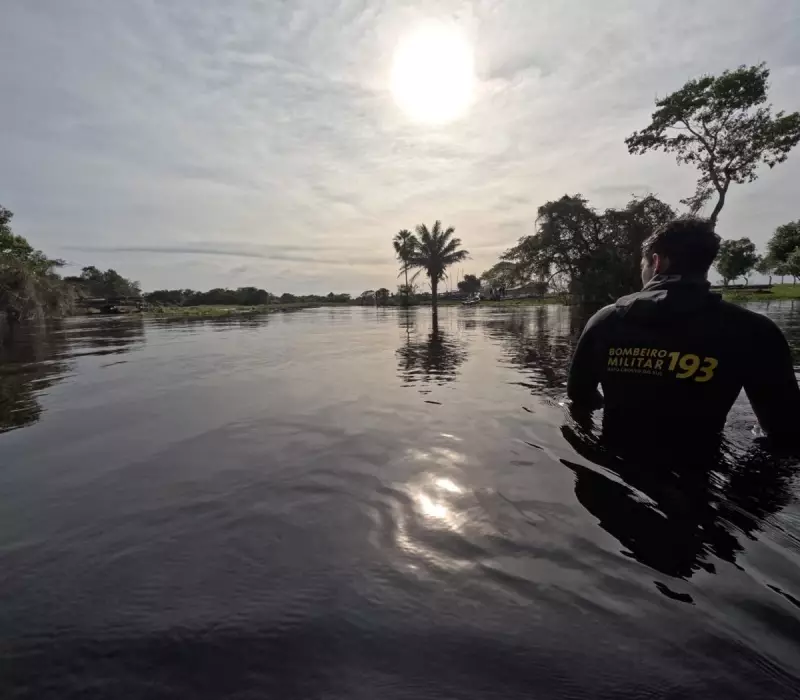Tragédia no Pantanal: Peão morre afogado ao tentar atravessar rio montado em cavalo