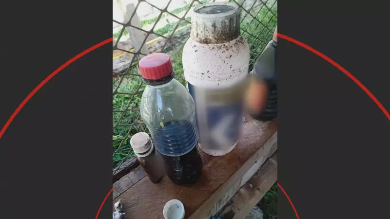 Tragédia no Paraná: Irmãos morrem após ingerir veneno achando ser suco