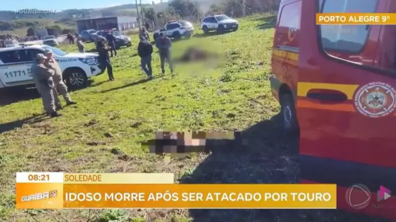 Tragédia no Rio Grande do Sul: Idoso de 80 anos morre após ataque de touro em propriedade rural