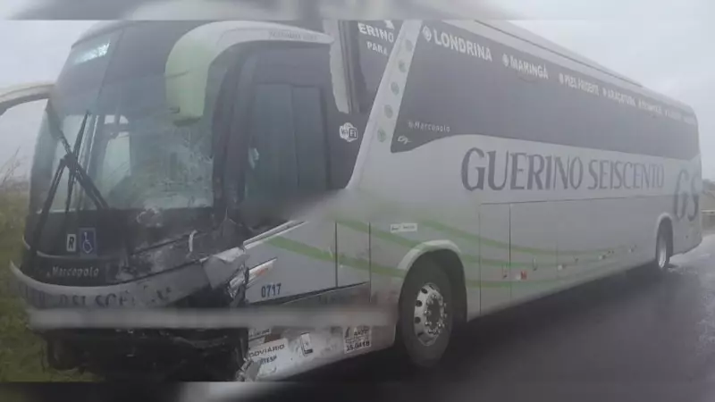 Tragédia no trânsito: Motorista e passageiro morrem após carro invadir contramão e colidir com ônibus em SP