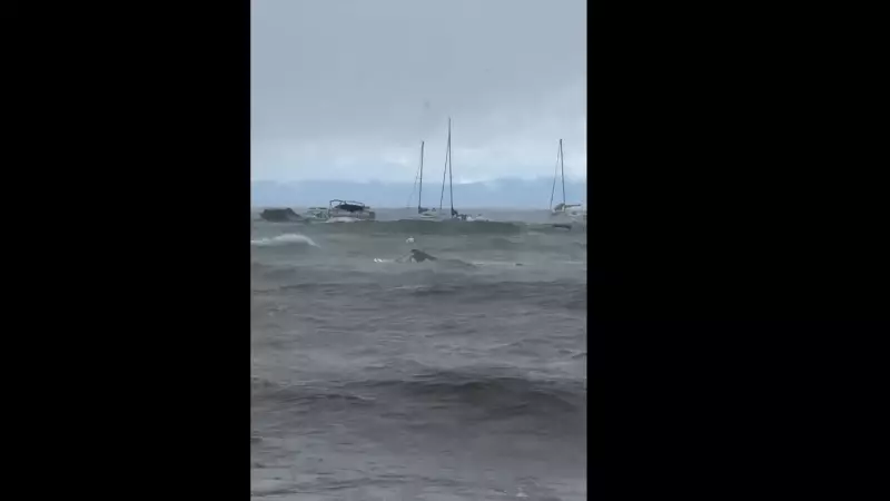 Tragédia nos EUA: Barco turístico vira durante tempestade e deixa 8 mortos