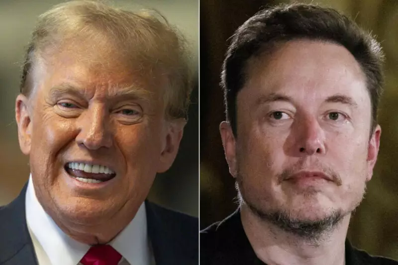 Trump e Musk marcam conversa por telefone nesta sexta em meio a disputa pública, revela Politico