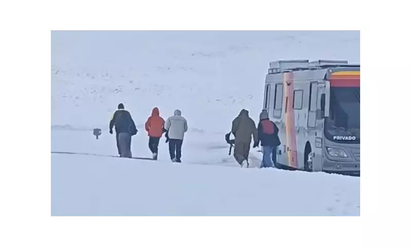 Turistas brasileiros ficam presos em rodovia no Chile após nevasca intensa — resgate em andamento