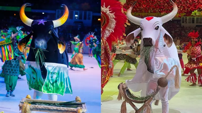 Última noite do Festival de Parintins: Caprichoso brilha com Kaa-ete e garante título do Boi-Bumbá