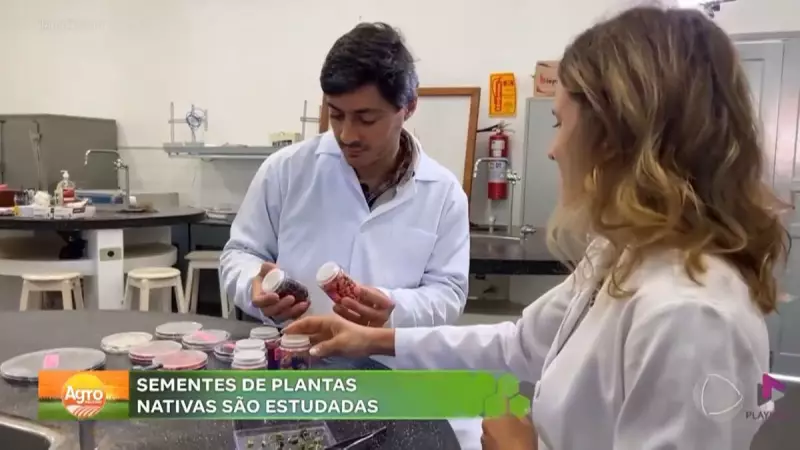 UNESP de São José do Rio Preto pesquisa sementes para recuperação ambiental no Noroeste Paulista