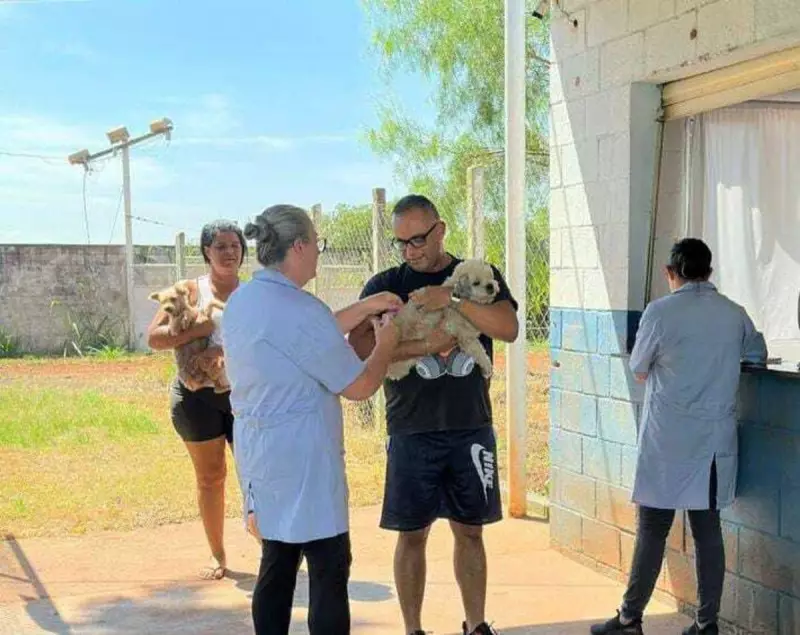 Vacinação antirrábica para cães e gatos em Sumaré: saiba a data e locais