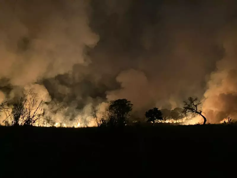 Vale do Paraíba em alerta: Defesa Civil de SP alerta para risco elevado de queimadas na região