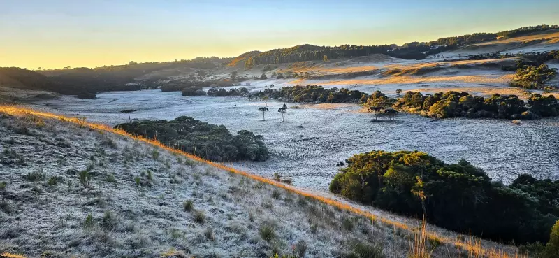 Vale dos Caminhos da Neve: O refúgio catarinense que encanta fotógrafos e caçadores de frio