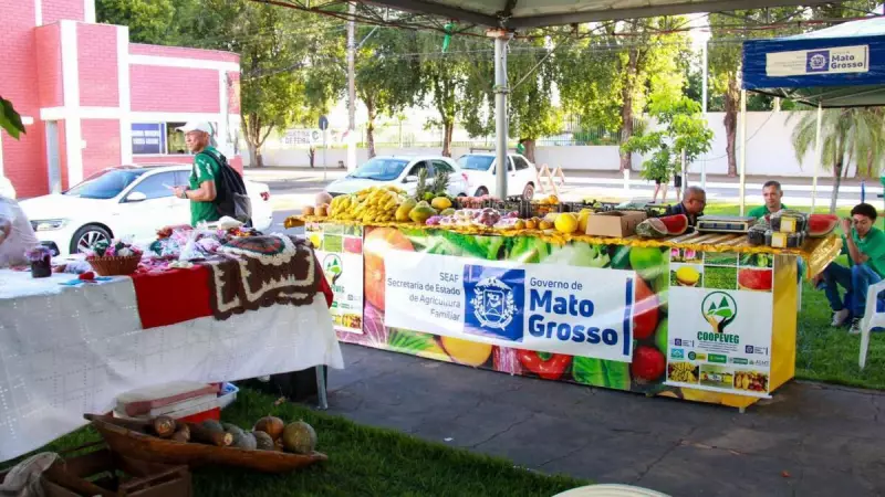 Várzea Grande sedia encontro histórico para fortalecer agricultura familiar e alimentação escolar