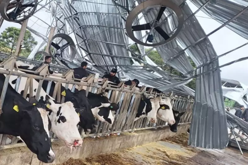 Vendaval causa estragos e prejuízo de R$ 1,3 milhão em área rural de SC