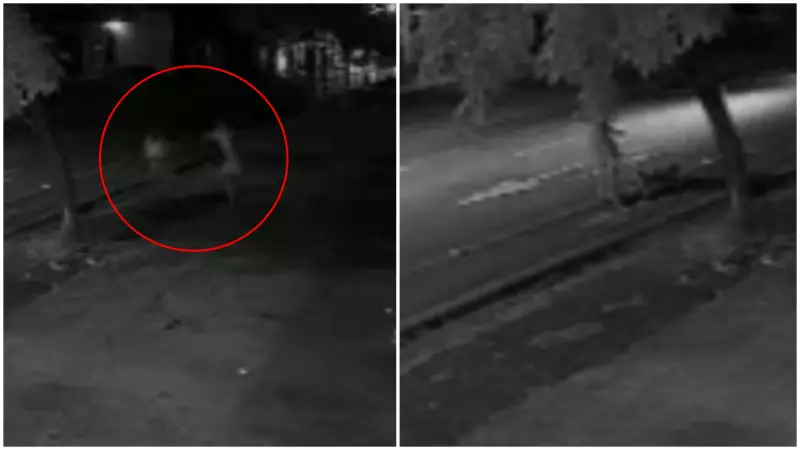 Vigia é condenado a 18 anos de prisão por espancar e matar homem em situação de rua no Ceará