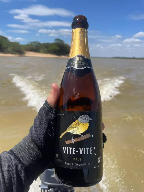 Vite Vite: Os espumantes que estão conquistando o paladar brasileiro