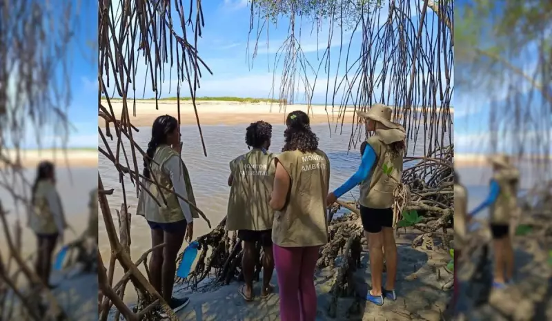 Voluntários podem se inscrever para atuar no Parque Estadual de Itaúnas | Oportunidade única para amantes da natureza