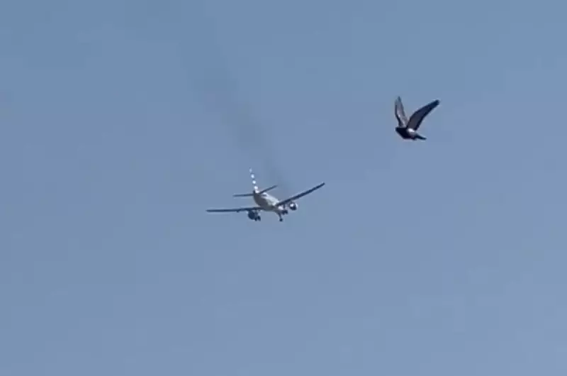 Voo da American Airlines retorna ao aeroporto após chamas e fumaça saírem do motor em pleno ar