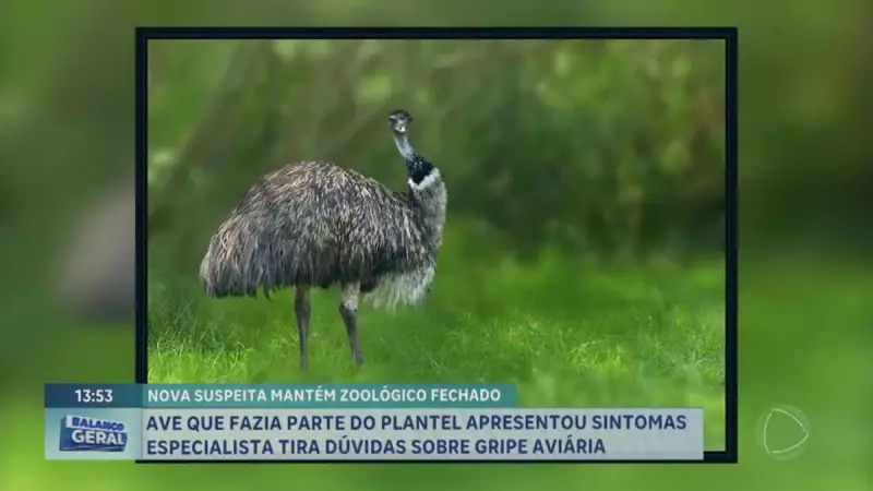 Zoológico de Brasília adia abertura após novo caso suspeito de gripe aviária