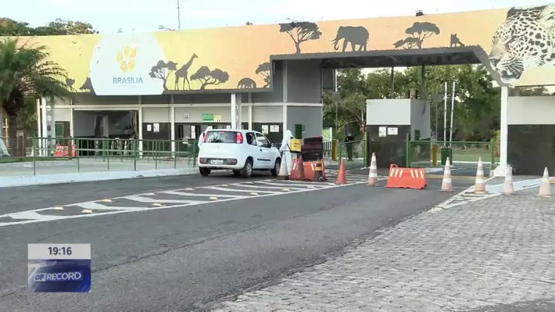 Zoológico de Brasília confirma segurança sanitária após pombo testar negativo para gripe aviária