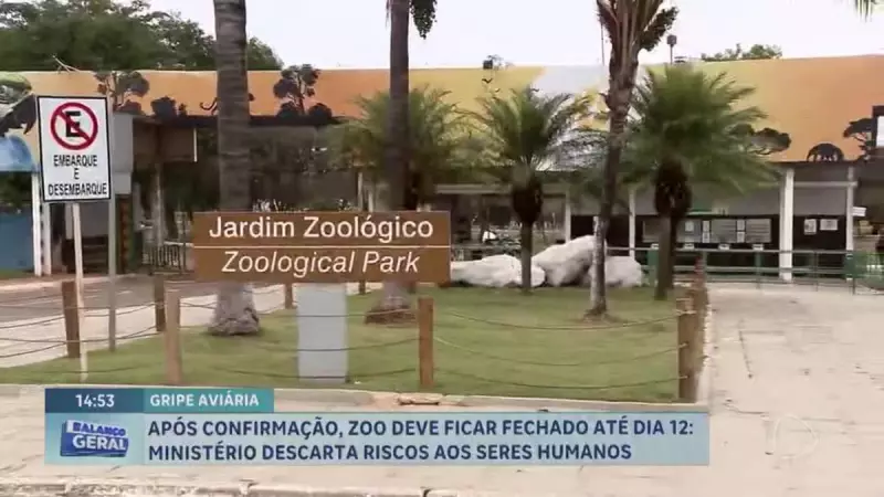 Zoológico de Brasília fecha temporariamente após caso confirmado de gripe aviária