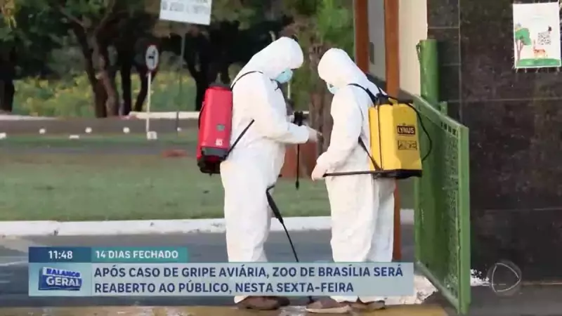 Zoológico de Brasília reabre após caso de gripe aviária: saiba os detalhes