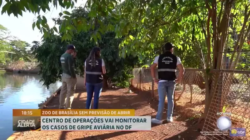 Zoológico de Brasília segue fechado devido a casos de gripe aviária: entenda os impactos