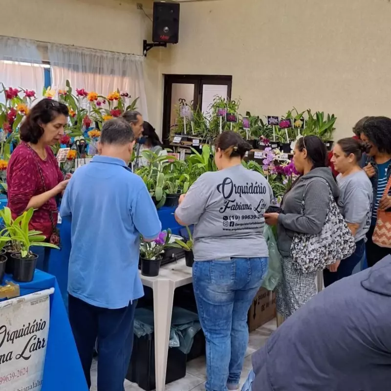 4º Festival de Orquídeas, Suculentas e Flores encanta visitantes no Engenho Central a partir de sexta (4)