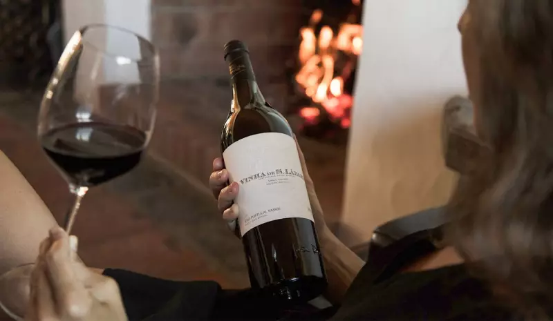 4 Uvas Diferentes para Quem Ama Malbec, Cabernet Sauvignon, Pinot Noir e Carménère